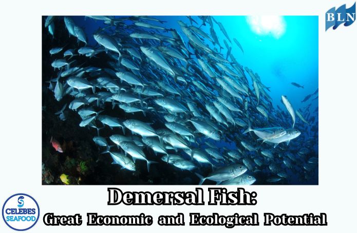 Demersal Fish: Great Economic and Ecological Potential